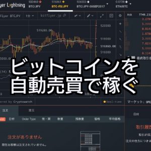 プログラミング初心者がビットコインFX自動売買ツールを作るまでの最短ルート