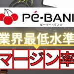 【徹底取材】PE-BANKはフリーランスエンジニアなら絶対押さえておいた方が良い理由